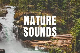 Nature Sounds by 99Sounds and Free To Use Sounds free royalty-free sample pack