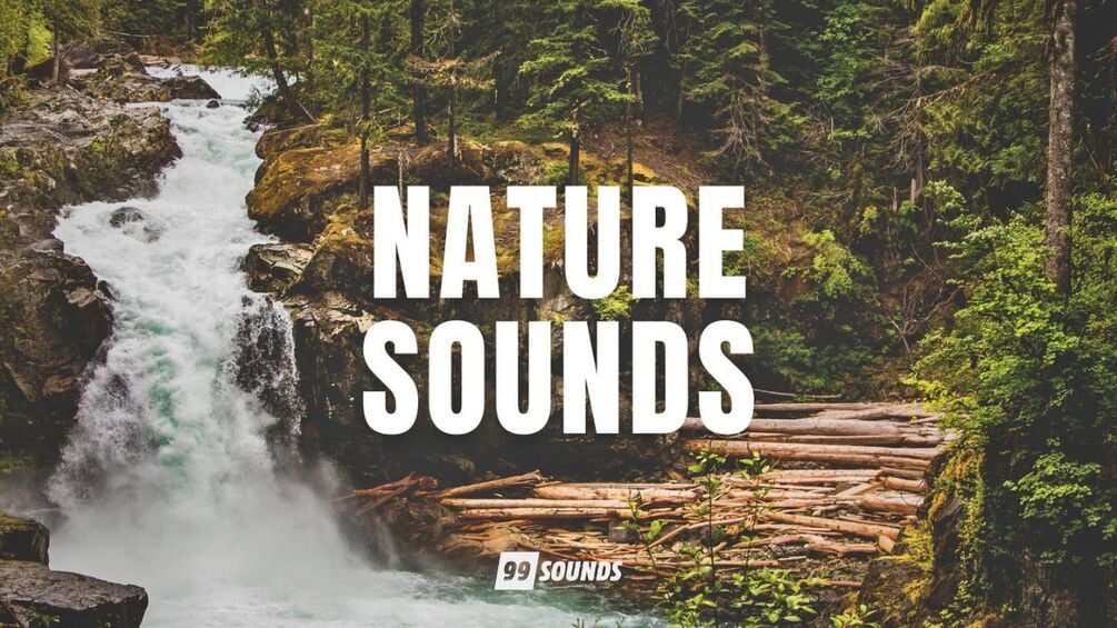 Nature Sounds by 99Sounds and Free To Use Sounds free royalty-free sample pack
