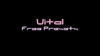 Chiqui-Audio Vital Free Presets official sound bank demonstration